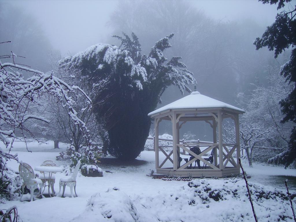 Arcadia Cottages Olinda Luaran gambar